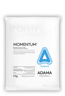 Momentum 5 kg
